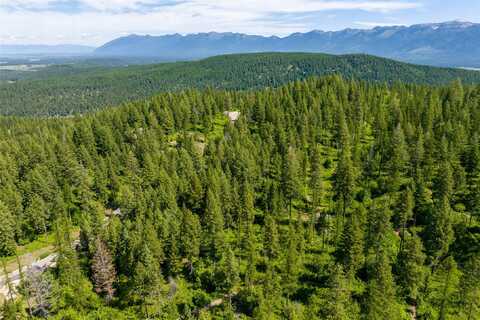 121 Pinto Trail, Bigfork, MT 59911