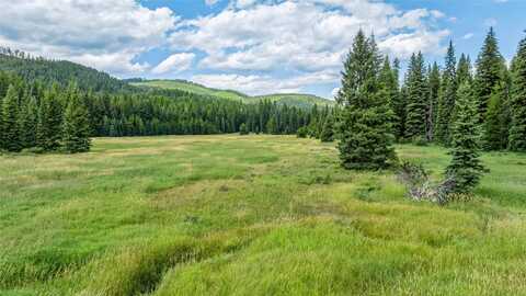 Nhn Mountain Meadow Road, Kalispell, MT 59901