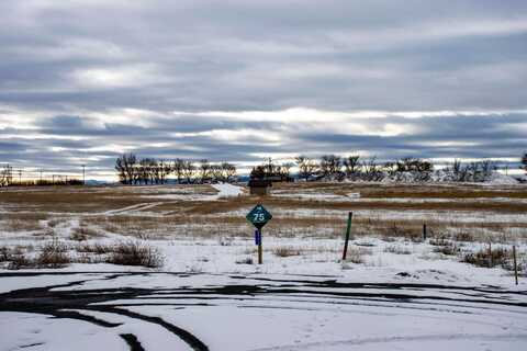 3771 Beargrass Court, Helena, MT 59602