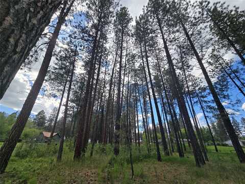 Nhn Leanin Tree Lane, Pablo, MT 59855