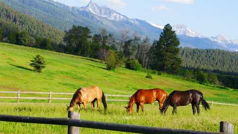 41698 Canal Road, Polson, MT 59860
