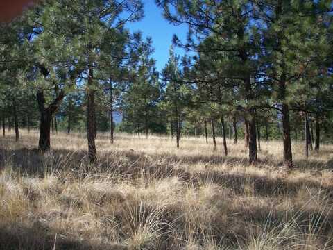 Lot 22 Leiber Lane, Plains, MT 59859