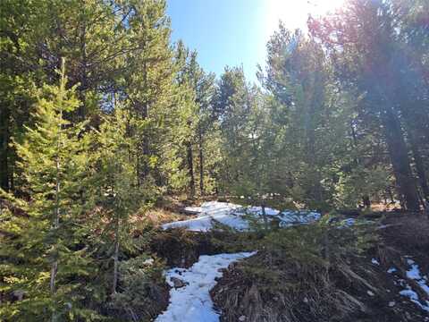 Nhn Elk Horn Lot 27, Helmville, MT 59843