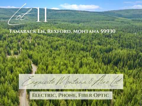 11 Tamarack Lane, Rexford, MT 59930