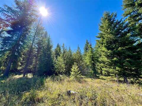 Nhn Sapphire Lane E lot: 3, Trout Creek, MT 59874