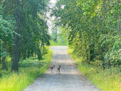 500 Reservoir Road, Whitefish, MT 59937