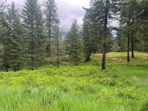 Lot 4 Mossy Oak, Thompson Falls, MT 59873