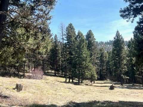 990 Elkhorn Road, Seeley Lake, MT 59868