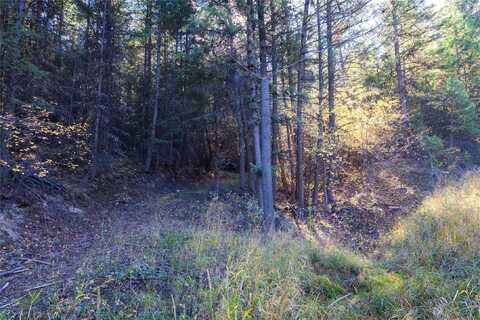 10 Acres Gut Creek Road, Rexford, MT 59930