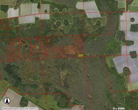 undefined, IMMOKALEE, FL 34142