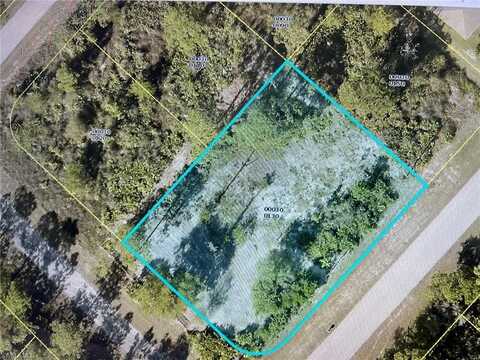 1001 Grant, LEHIGH ACRES, FL 33974