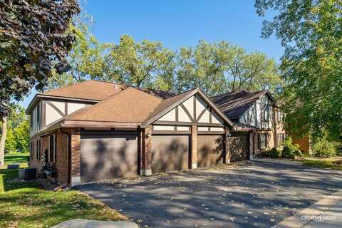 11101 Cottonwood Drive, Palos Hills, IL 60465