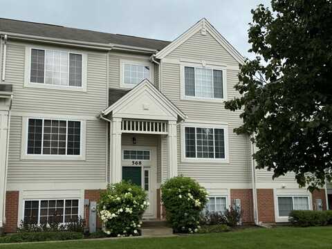 568 CARY WOODS Circle, Cary, IL 60013