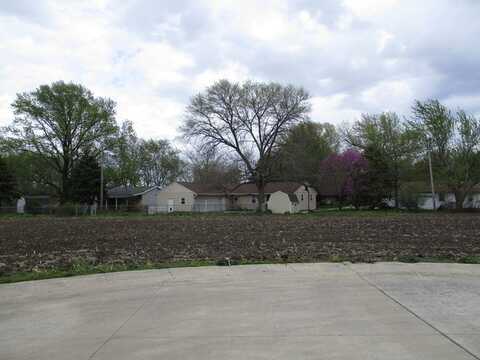 Lot 8 Fina Drive, Tuscola, IL 61953