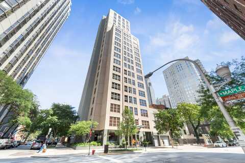 1035 N Dearborn Street, Chicago, IL 60610