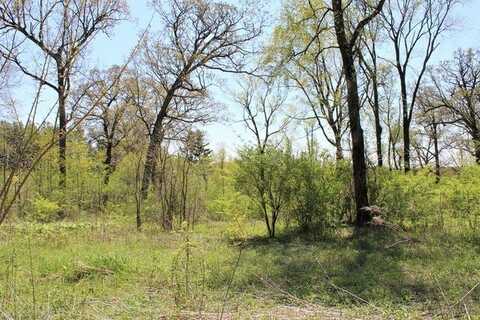 Lot 20 Masters Drive, Morrison, IL 61270