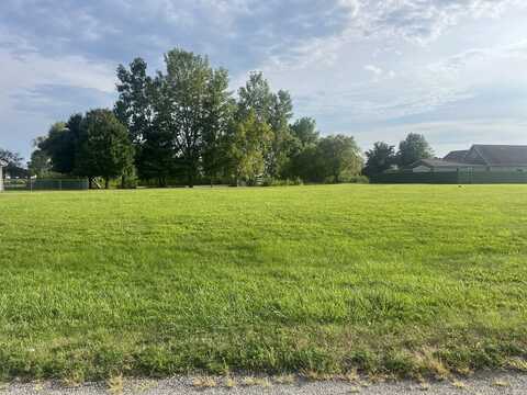 45 Nightingale Circle, Camargo, IL 61919