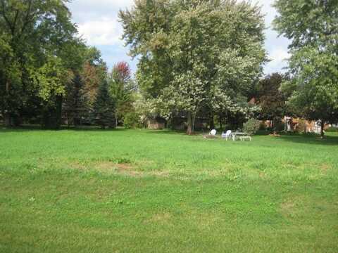 Lot 2 washington Street, Braidwood, IL 60408