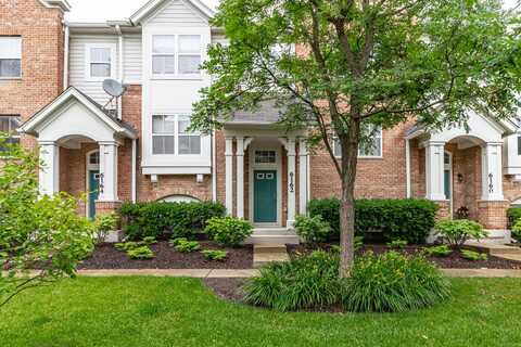 6162 Mayfair Street, Morton Grove, IL 60053