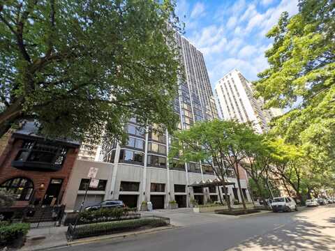 50 E Bellevue Place, Chicago, IL 60611