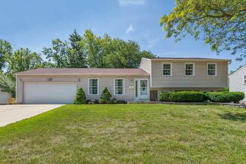 228 N Braintree Drive, Schaumburg, IL 60194