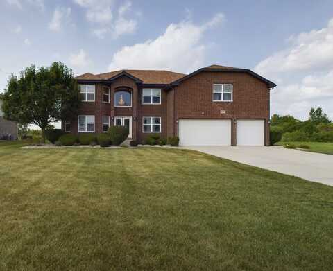 2909 Delphi Court, Olympia Fields, IL 60461