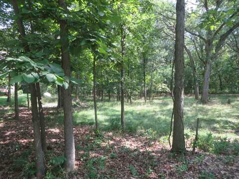 Lot 14 Six Mile Grove, Momence, IL 60954