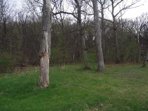 Lot 012 Tuscola Avenue, Saint Charles, IL 60174