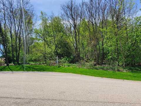 16149 Scenic Court, Wadsworth, IL 60083