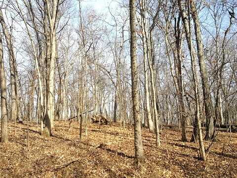 Lot 1808 Tanglewood Drive, Varna, IL 61375