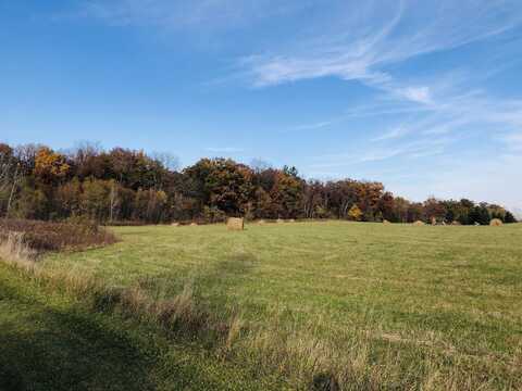 3114 Millstream (Lot 1) Road, Marengo, IL 60152