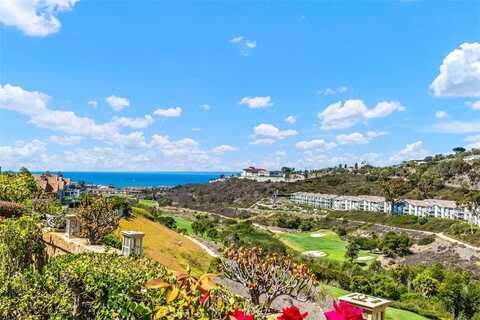 7 San Raphael, Dana Point, CA 92629