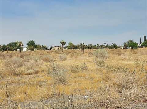 0 Mono Parcel #3069-201-13 Road, Phelan, CA 92371