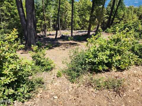 4350 Cahto Peak Road, Laytonville, CA 95454