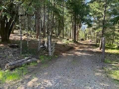 29300 Pinecrest Road, Willits, CA 95490