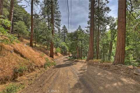 110 Lots 110-123 Burnt Mill Canyon Road, Cedarpines Park, CA 92322