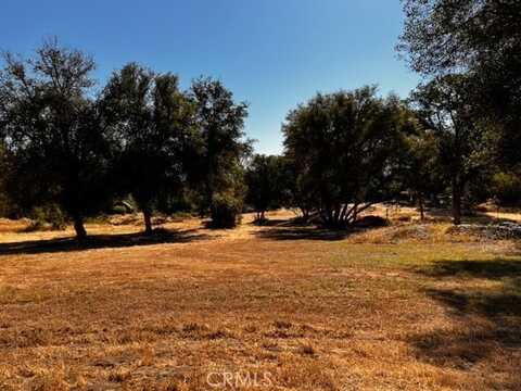 4036 Dawn Road, Mariposa, CA 95338