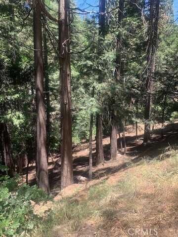 0 State Hwy 189, Lake Arrowhead, CA 92352