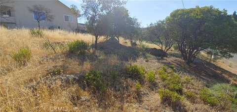 9911 Emerald Drive, Kelseyville, CA 95451