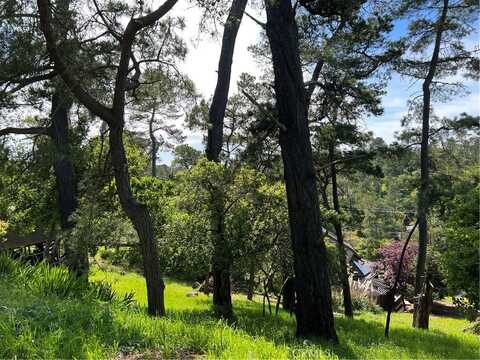 1617 Pierce Avenue, Cambria, CA 93428