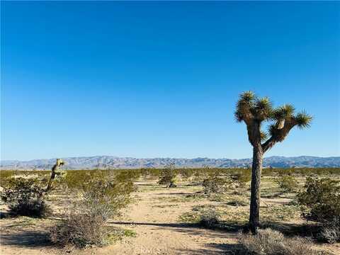 1974 Sunset Road, Joshua Tree, CA 92252