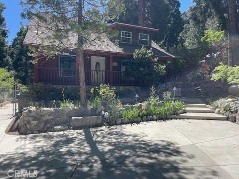 9367 Canyon Drive, Forest Falls, CA 92339