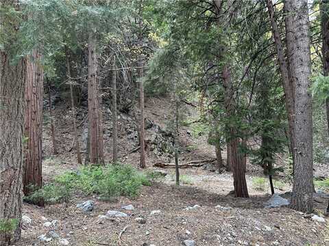 0 Canyon Drive, Forest Falls, CA 92339