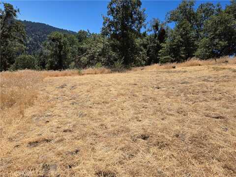 22045 Mojave River Road, Cedarpines Park, CA 92322