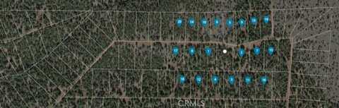 7 Apache Rd, Alturas, CA 96101