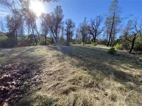 15785 Placer Court, Corning, CA 96021