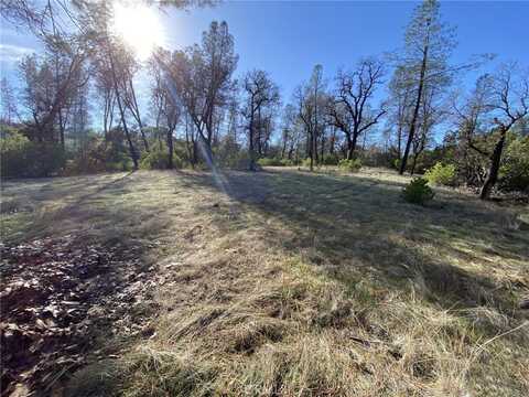 15785 Placer Court, Corning, CA 96021