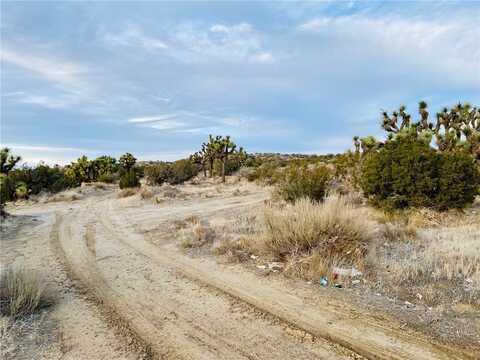 1 Vac/Avenue S/Vic Avenue, Palmdale, CA 93551