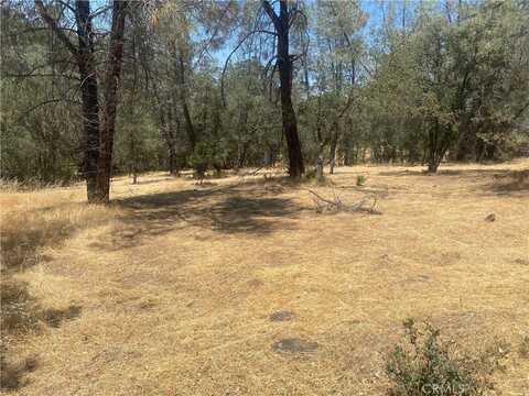 0 Lemon Hill Drive, Oroville, CA 95966