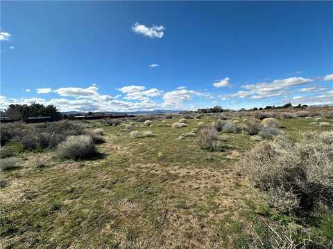 0 Vac/91 Stw/Vic Avenue E14, Antelope, CA 93536